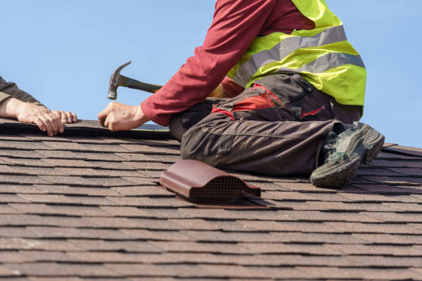 Best Roof Gutter Cleaning  in North Little Rock, AR