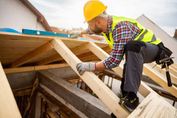 Best Roof Gutter Cleaning  in North Little Rock, AR